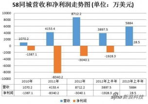 虧損情況說明(企業(yè)虧損情況說明)