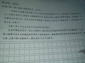 我學(xué)會(huì )了________作文開(kāi)頭,我學(xué)會(huì )了騎自行車(chē)作文開(kāi)頭,我學(xué)會(huì )了包餃子作文開(kāi)頭