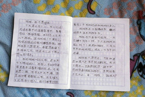 關(guān)于春節(jié)的作文的開(kāi)頭怎么寫(xiě)