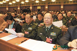政協(xié)委員個人履職報告(政協(xié)委員個人履職總結(jié))