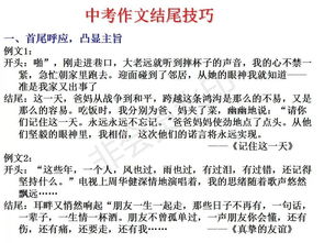一次活動(dòng)作文的開(kāi)頭和結(jié)尾怎么寫(xiě)