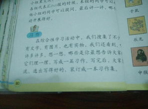 以詩開頭的作文格式