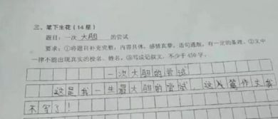 一次大膽的嘗試的作文的開(kāi)頭