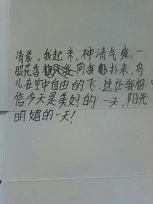 不平凡的一天作文開(kāi)頭,有趣的一天作文開(kāi)頭,平凡的一天作文開(kāi)頭