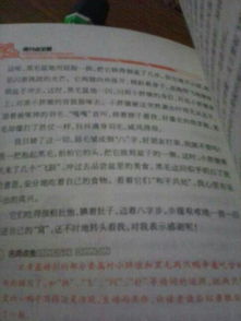 寫一篇關于人與動物的作文開頭