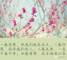 滴水之恩當(dāng)涌泉相報(bào)的作文開頭