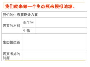 制作生態(tài)瓶的作文開頭