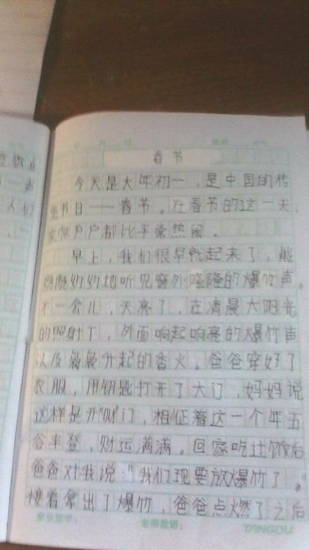 形容春節的作文開(kāi)頭