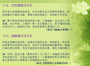 小學作文的開頭80字