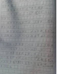 我居住的社區(qū)小事作文開頭