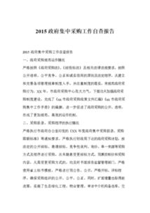 政府集中采購(gòu)工作的自查總結(jié)報(bào)告范文(個(gè)人自查總結(jié)報(bào)告)