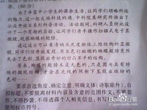 與這樣的作文開(kāi)頭結尾