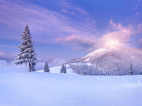 我愛(ài)這美麗的雪景作文開(kāi)頭