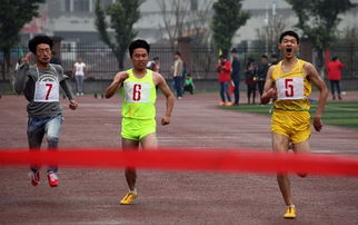 關于運動會通訊稿范文(關于運動會通訊稿100字)