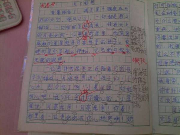我的喜悅五百字作文開(kāi)頭