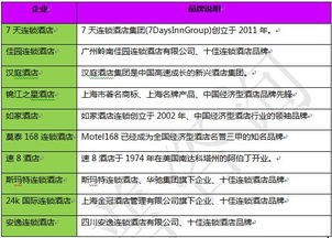 酒店市場調(diào)查報告范文(市場調(diào)查報告范文)