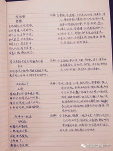 那一次我真后悔作文優(yōu)美開(kāi)頭和結尾