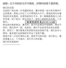 作文我的樂(lè )園的開(kāi)頭