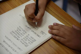 抒情式寫(xiě)景作文開(kāi)頭與結(jié)尾