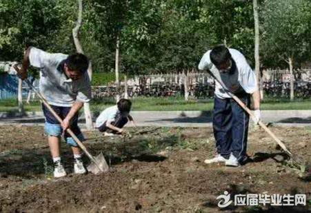 衛(wèi)生所社會實踐報告范文(衛(wèi)生所社會實踐報告范文)