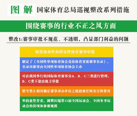 巡視整改實(shí)施方案(網(wǎng)站整改實(shí)施方案)