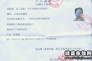 要賬委托書的范文(要賬委托書 )