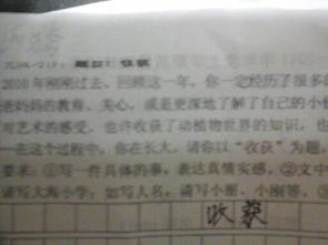 小學生秋游的收獲的作文開頭結尾怎么寫