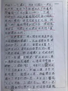 作文,開頭,走進,老師