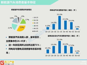 新能源市場(chǎng)調(diào)研報(bào)告(市場(chǎng)的調(diào)研報(bào)告)