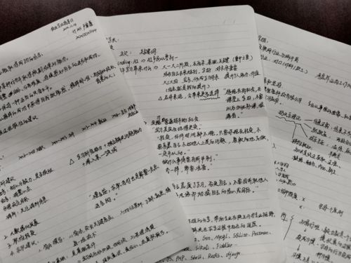 三級作文好的開(kāi)頭優(yōu)美句子摘抄大全