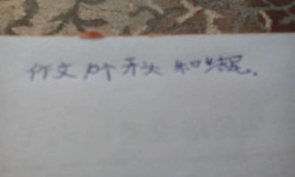 開(kāi)頭結尾十段的作文