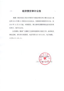 經(jīng)濟責(zé)任審計報告(任期經(jīng)濟責(zé)任審計報告)