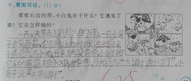 二級(jí)作文怎么寫開頭