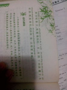 學校初一的風景作文開頭結(jié)尾