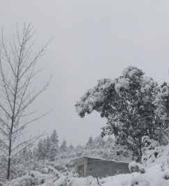 關(guān)于描寫雪的作文開頭與結(jié)尾,描寫雪的作文開頭怎么寫,描寫雪的作文開頭排比句