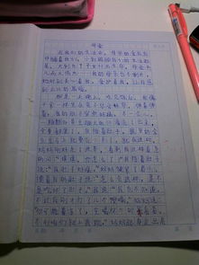 談爸爸媽媽的愛(ài)作文500字作文開(kāi)頭