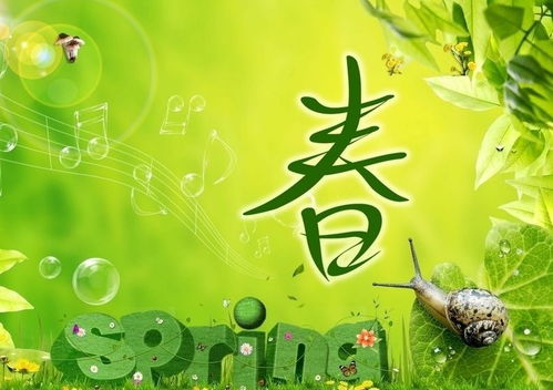 春天的作文的精彩開(kāi)頭