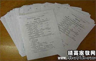 黨的社會實踐報告例文(黨的兒女心得體會例文)