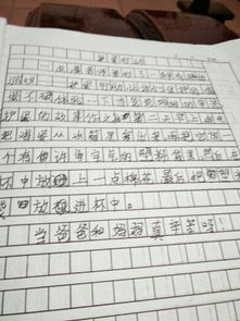 活動(dòng)作文開(kāi)頭50字