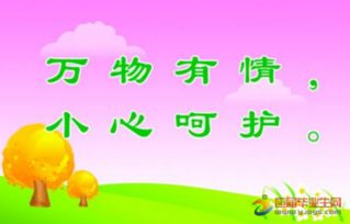 愛(ài)護林木標語(yǔ)(林木管護宣傳標語(yǔ))