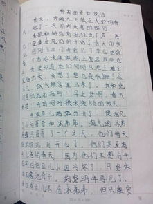 美麗的大自然六級(jí)作文開頭