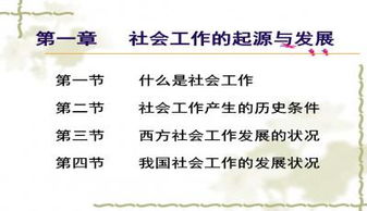社會(huì)工作結(jié)案報(bào)告精選(結(jié)案報(bào)告精選模板兩篇)