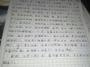 我最想的一個(gè)人500字作文開(kāi)頭結(jié)尾