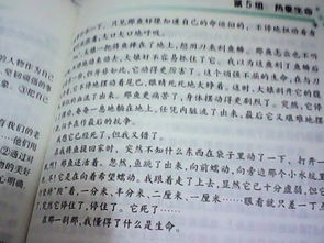 400字關(guān)于生命的作文開(kāi)頭結(jié)尾