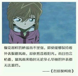 柯南經典語錄開場白,柯南名句經典語錄,江戶川柯南經典語錄