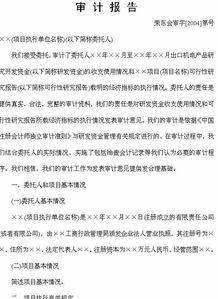 項目總結報告的格式及范文(項目總結報告的格式及范文)