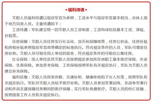 公司文職人員個(gè)人總結(jié)(公司文職人員試用期滿個(gè)人總結(jié))
