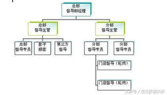 標(biāo)準(zhǔn)化(標(biāo)準(zhǔn)化)