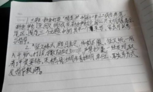 社會文明體驗活動作文開頭