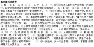 人與動物為題的作文開頭